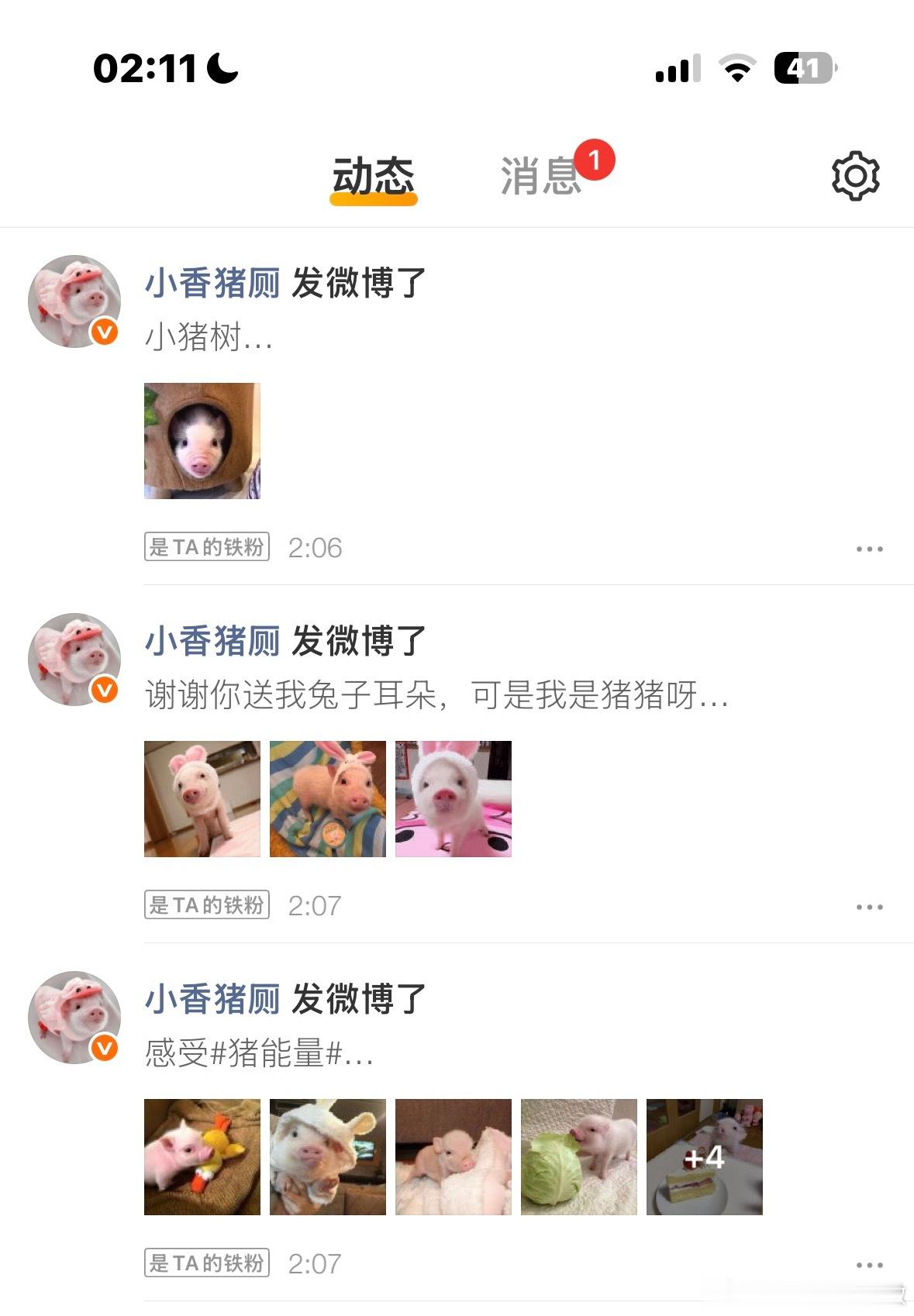 戒猪失败 