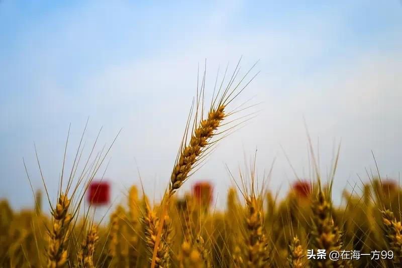 为啥当年出现万元户的时候，没人敢说勤劳不能致富？
因为那时如果说这样的话会被人耻