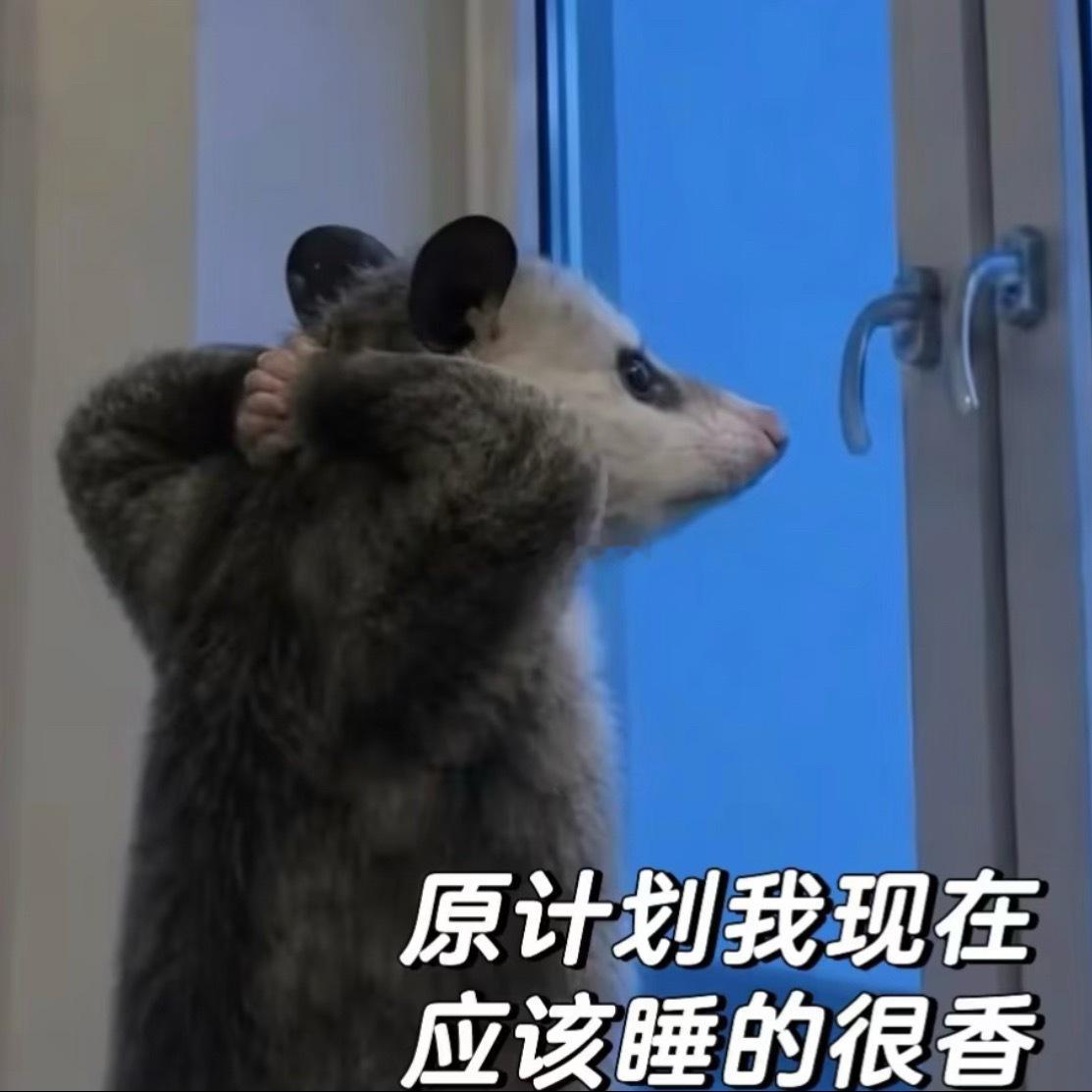 紫微斗数  睡不好的小宝看看你们的盘！命宫、福德宫有这几颗星的人，容易出现睡眠问