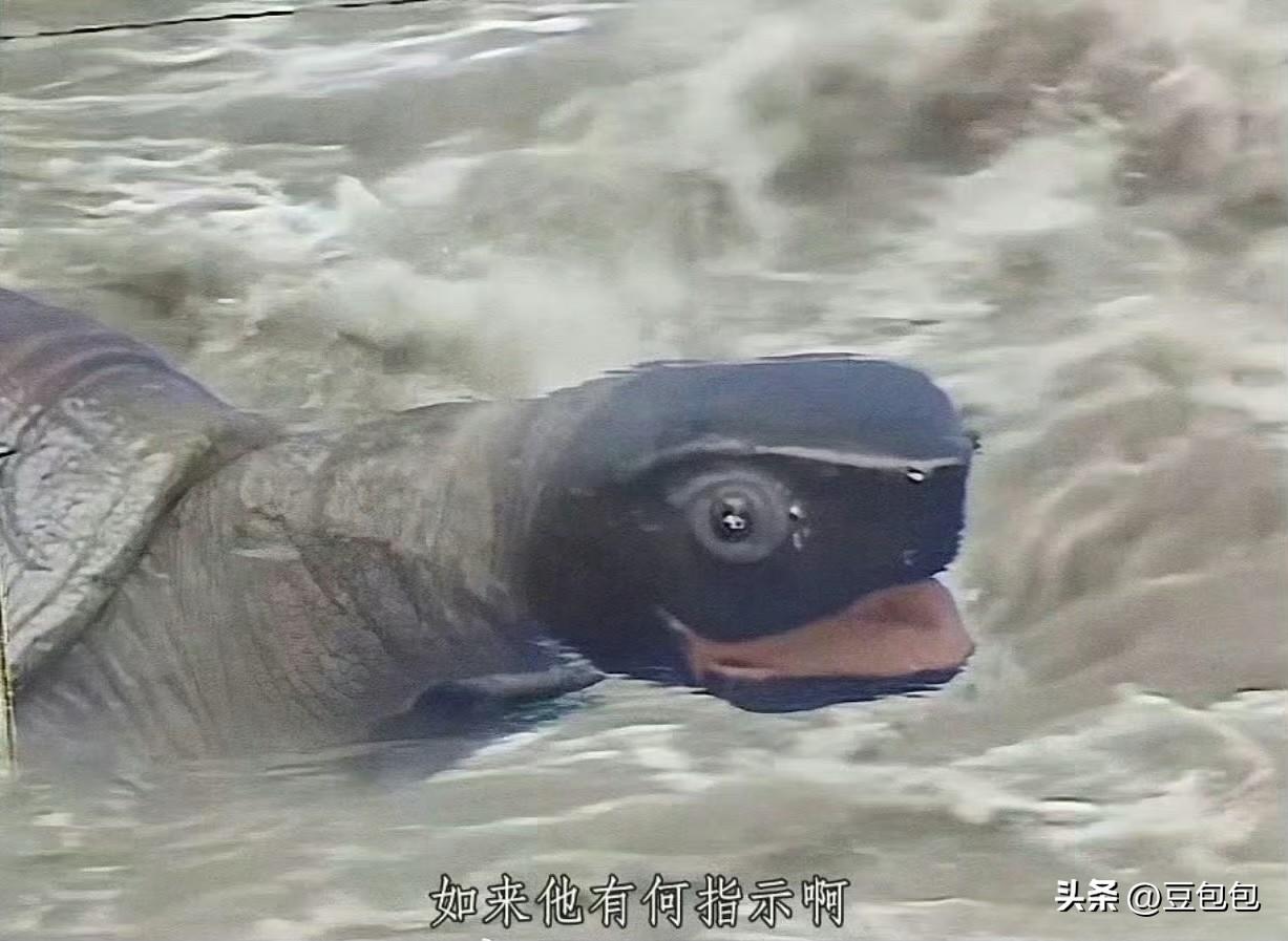 小时候看《西游记》只觉得奇幻精彩，全部心思都沉浸在孙悟空腾云驾雾和各路妖魔斗法的
