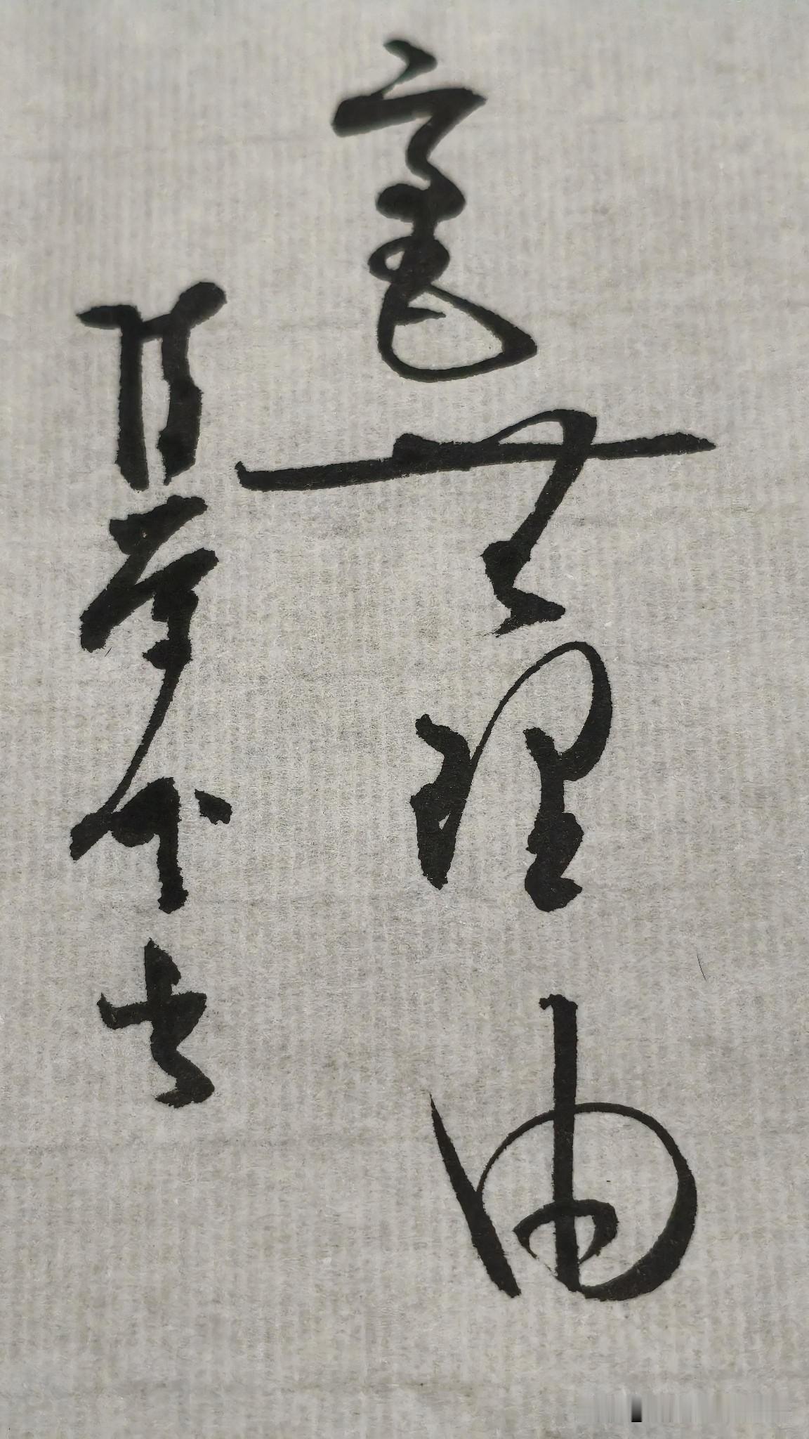 草书精品展示：毫无理由