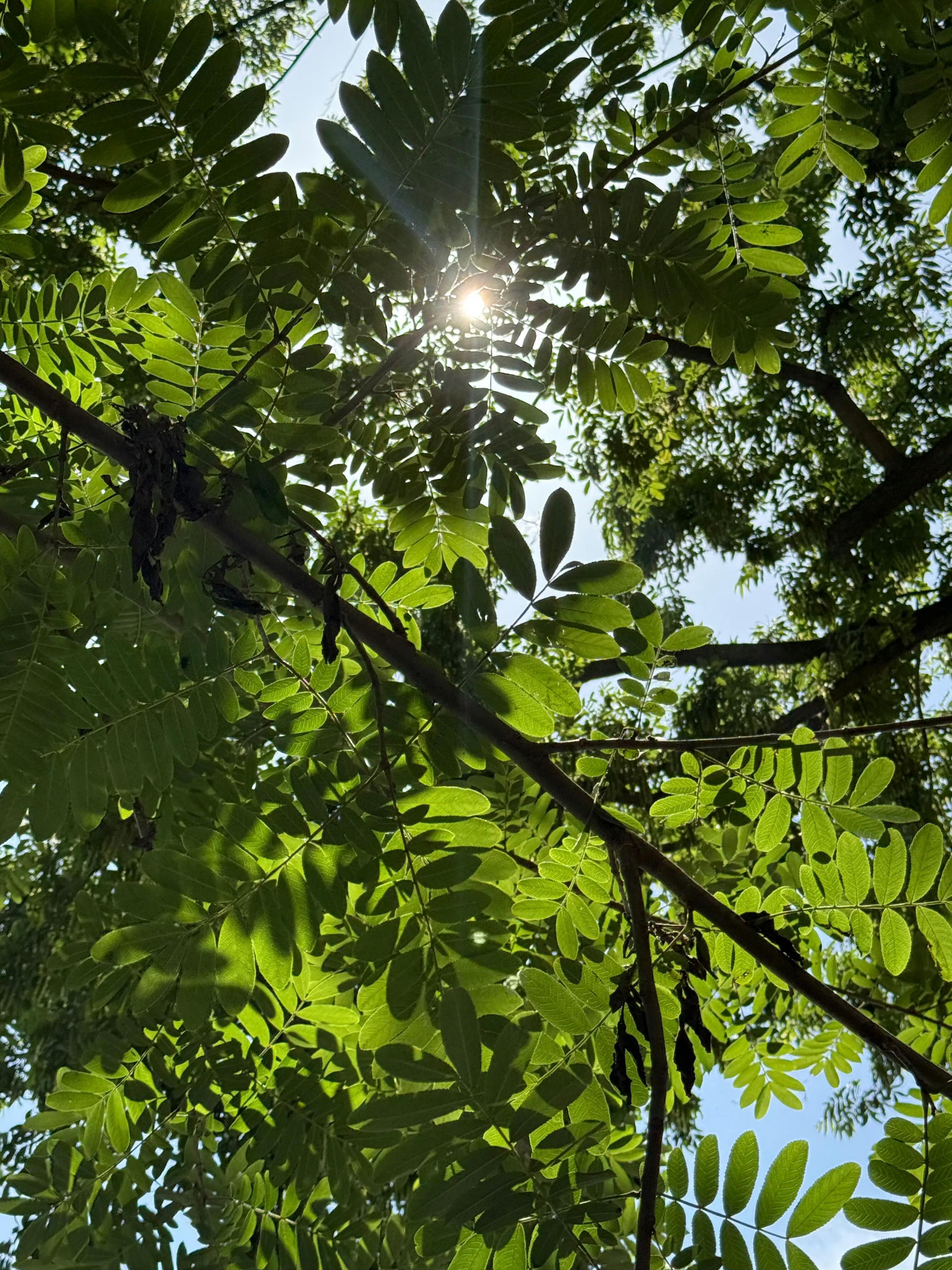 生活需要仪式感,比如一场说走就走的野餐。 