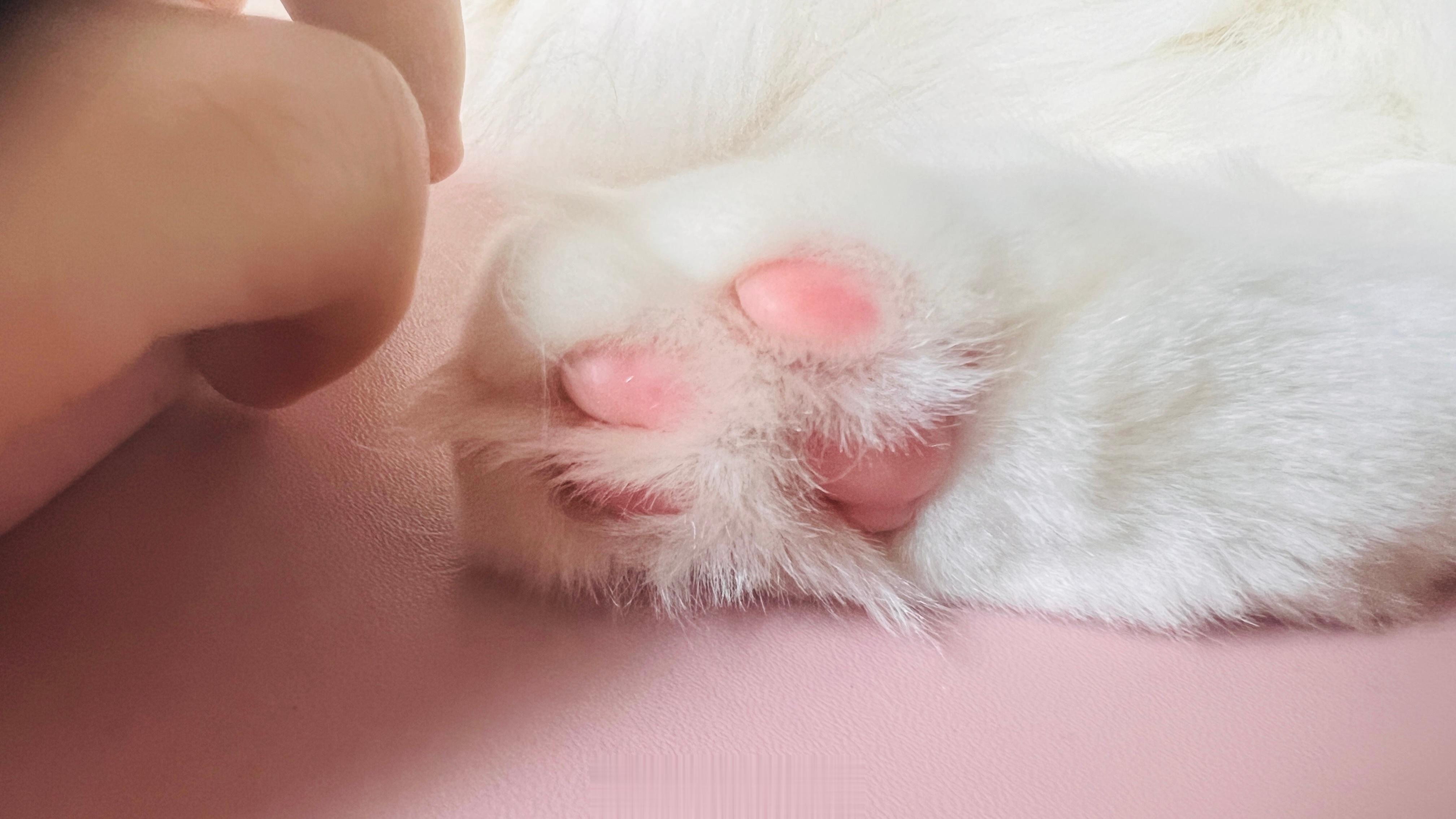 这也太可爱了吧 ​​​