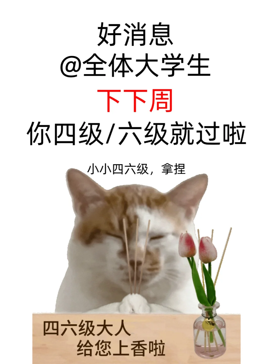 好消息！下下周你四级/六级就过喽！