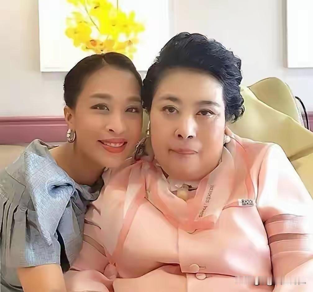 颂妃这辈子过得实在辛苦。她出身名门，家境优越，十九岁就听从安排嫁给了身为王储的表