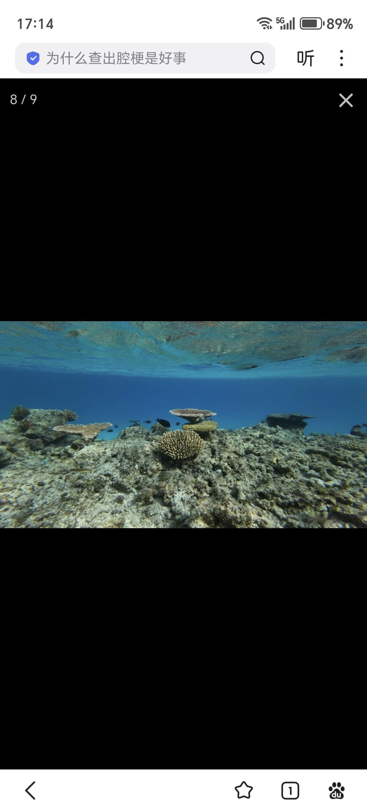 赤瓜礁的新成员
绿海龟上岛产卵了，战士们把龟蛋拿到人工照看的养育箱孵化。随着我们