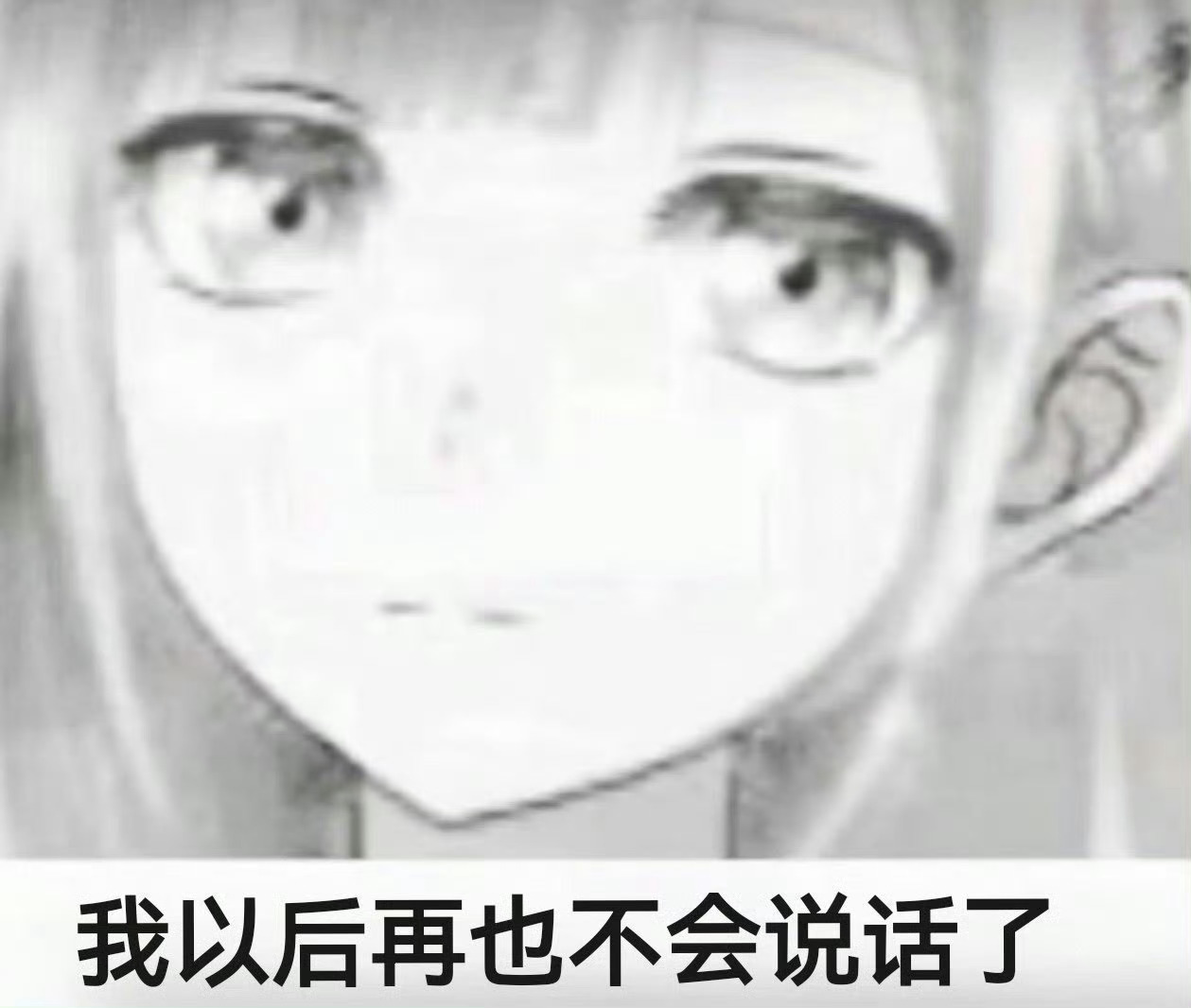 分享图片 