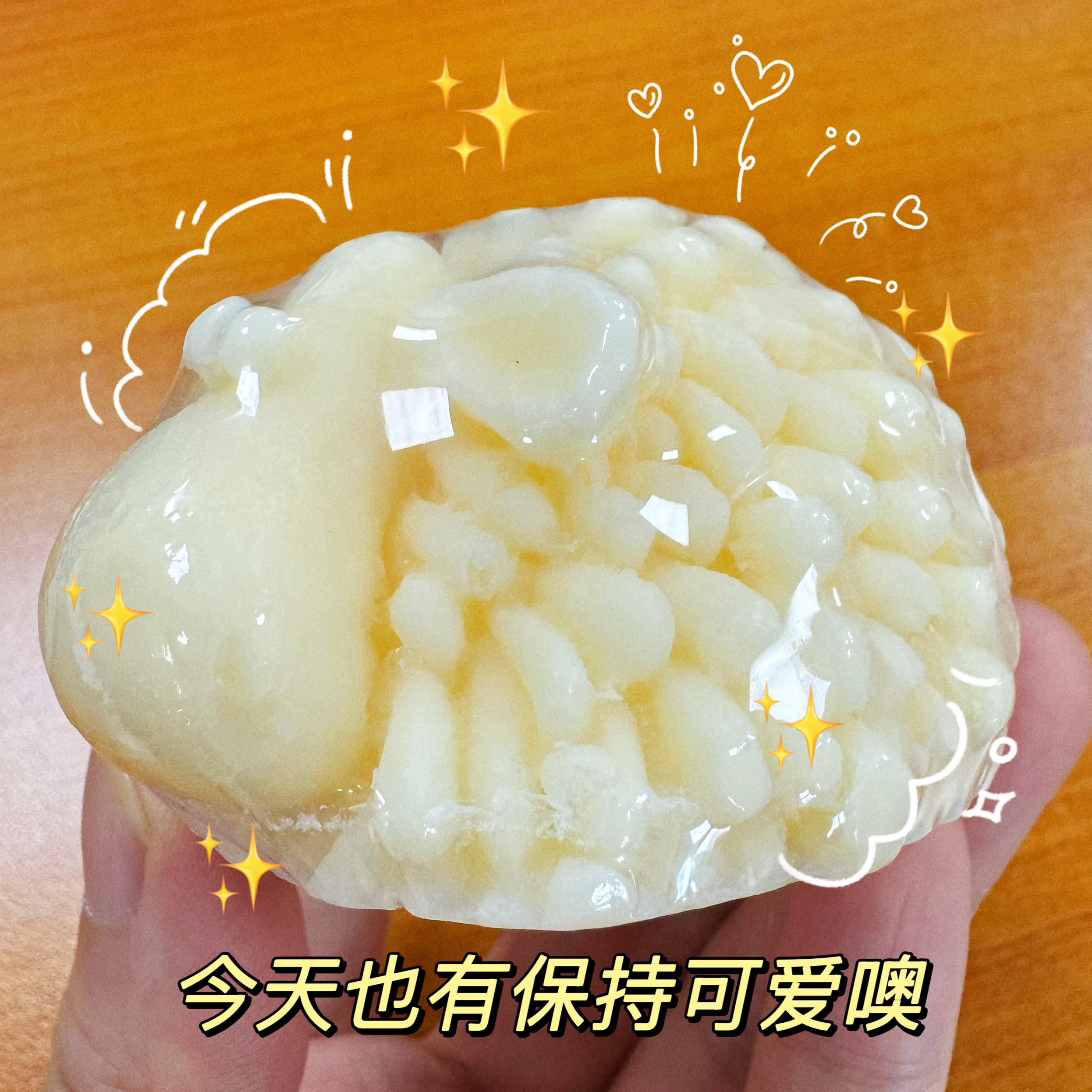 来自大草原的伴手礼，一只可爱的小羊羔🐏 
