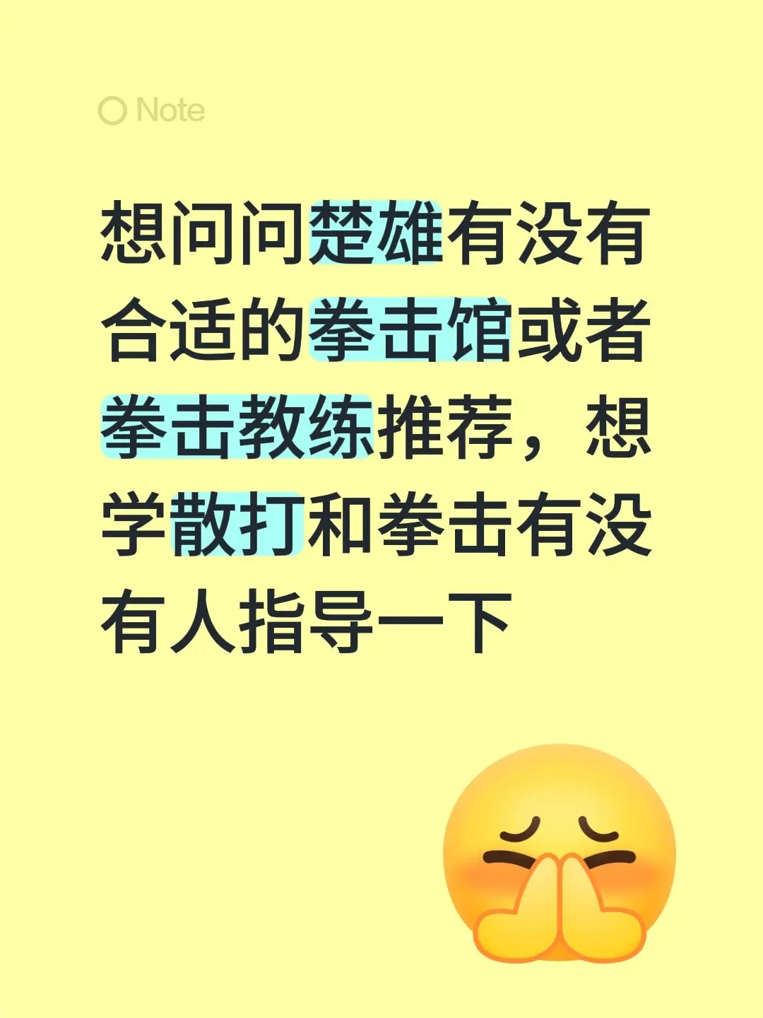 想问问楚雄有没有合适的拳击馆或者拳击教练推荐，想学散打和拳击有没有人指导一下