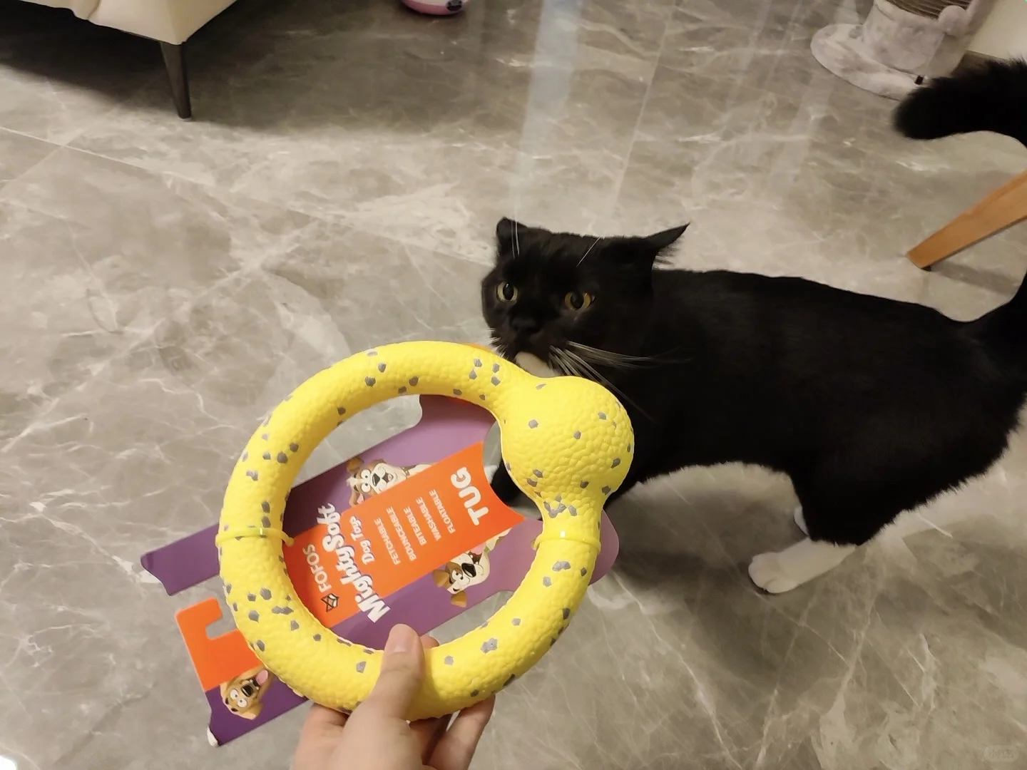 这是没养过猫的朋友买给奶牛猫的玩具