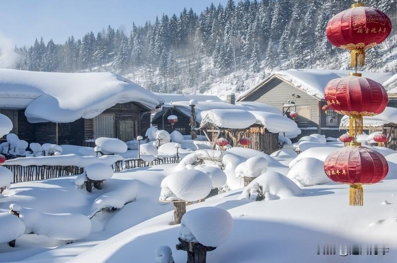 茶还温着，
抬头就见窗外雪落，
又是一年冬。
时间总匆匆，
日子跑再快，
也带不