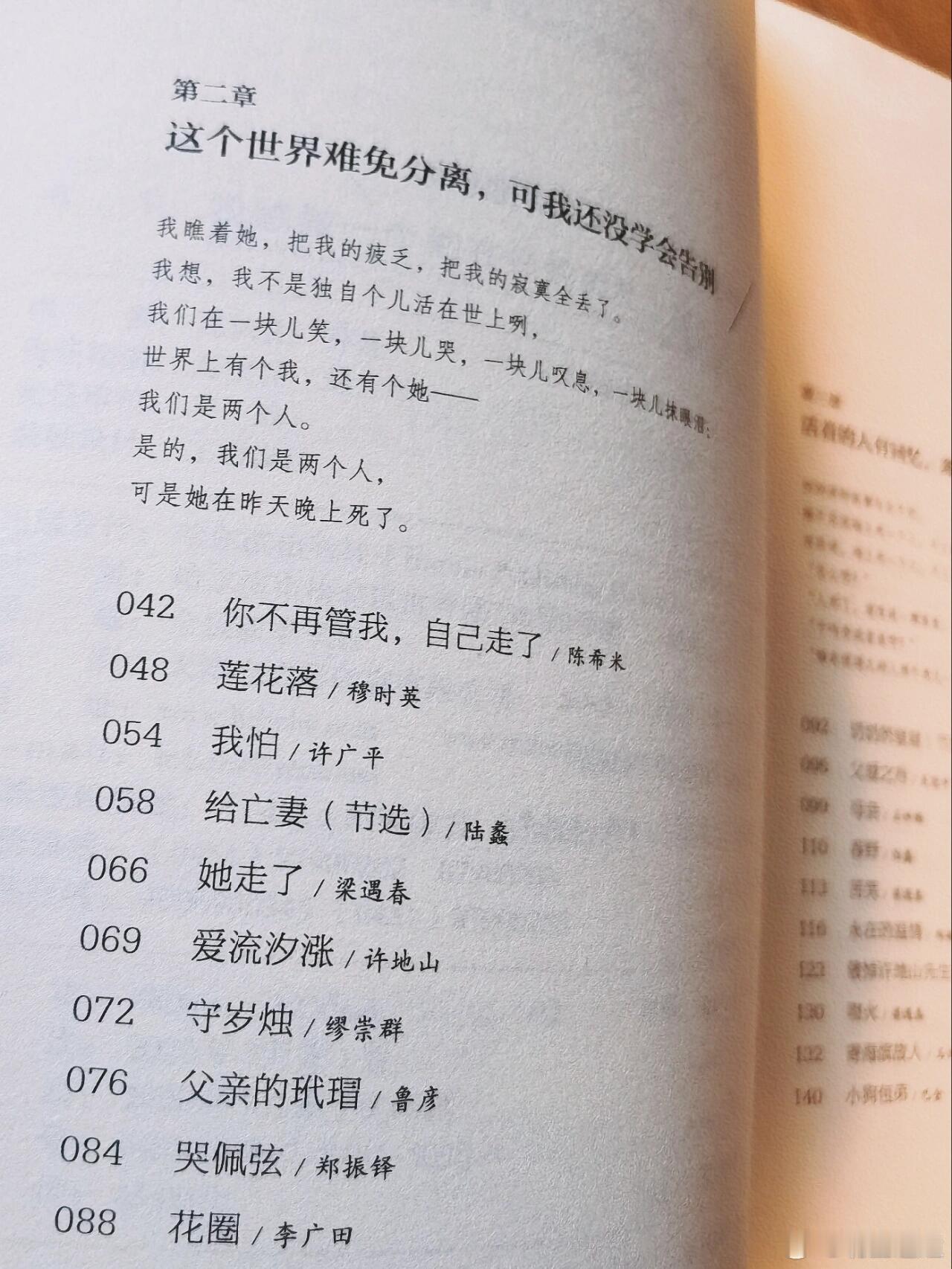 《我想做一个能在你的葬礼上描述你一生的人》是一本情感深沉、感人至深的散文集，汇集