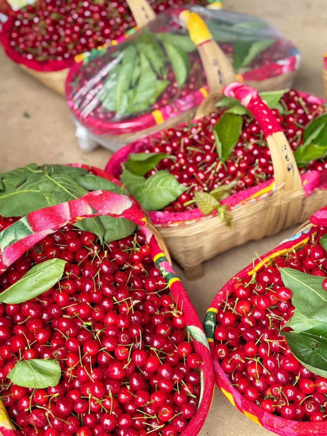 且吃且珍惜了，一个村一晚上就摘🉐这点🍒