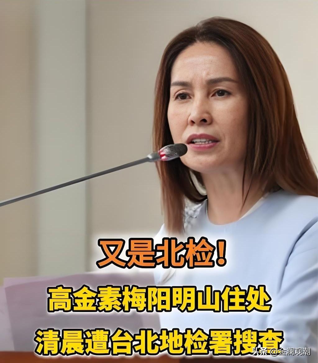 台湾统派人士高金素梅遭台北检方求刑12年6个月
 
近日台北地检署完成起诉，无党