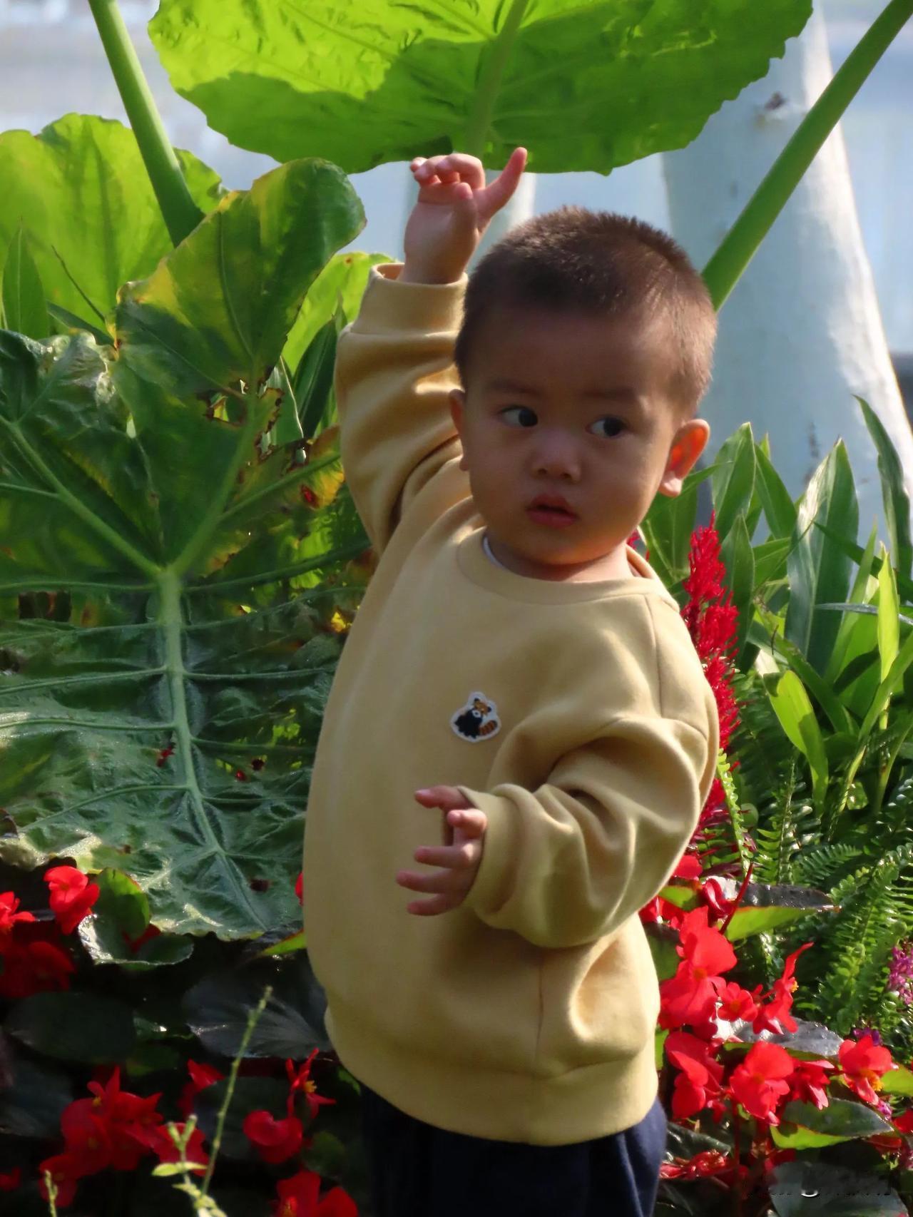 萌娃在花丛中摆出酷酷的姿势🌸👶🏻