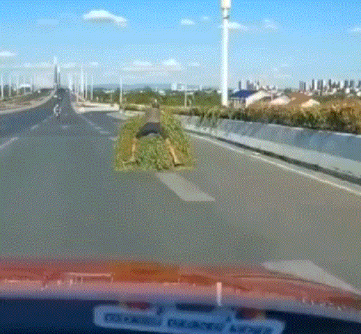 小轿车司机:卧槽，卧槽，卧槽！