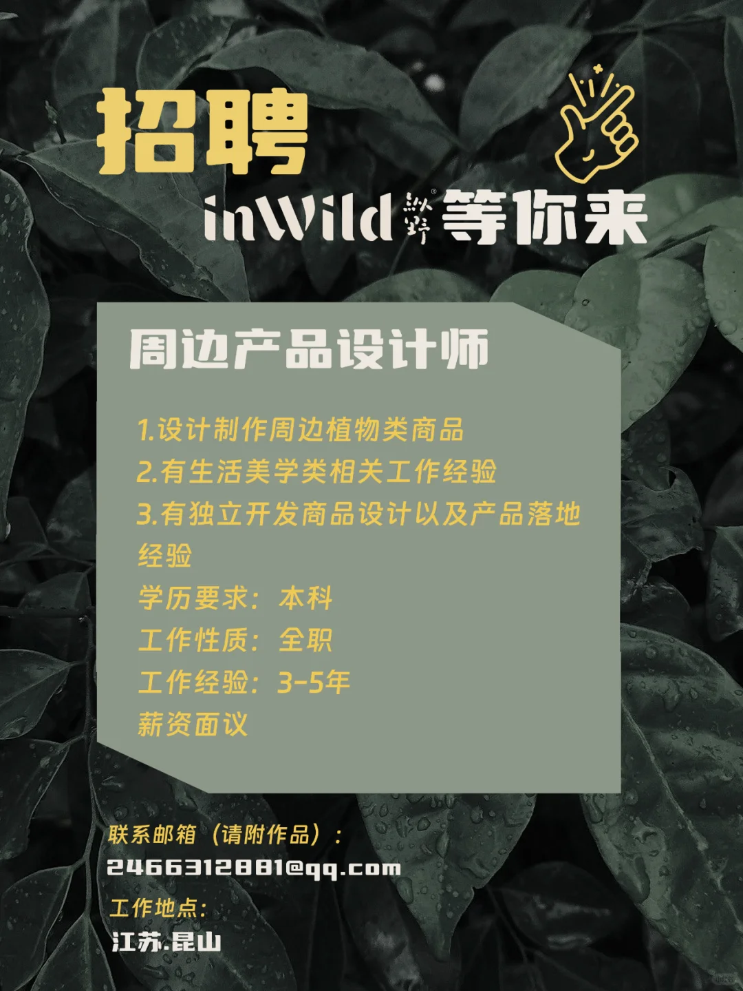 这是一篇招聘贴👀
