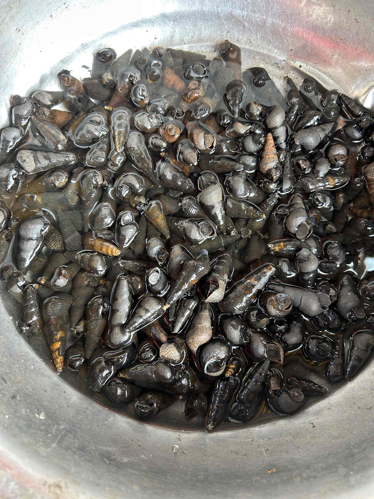 2026 年元月都快过去了，今日我们才开启马年的首次自驾之旅，目的地是从化温泉镇