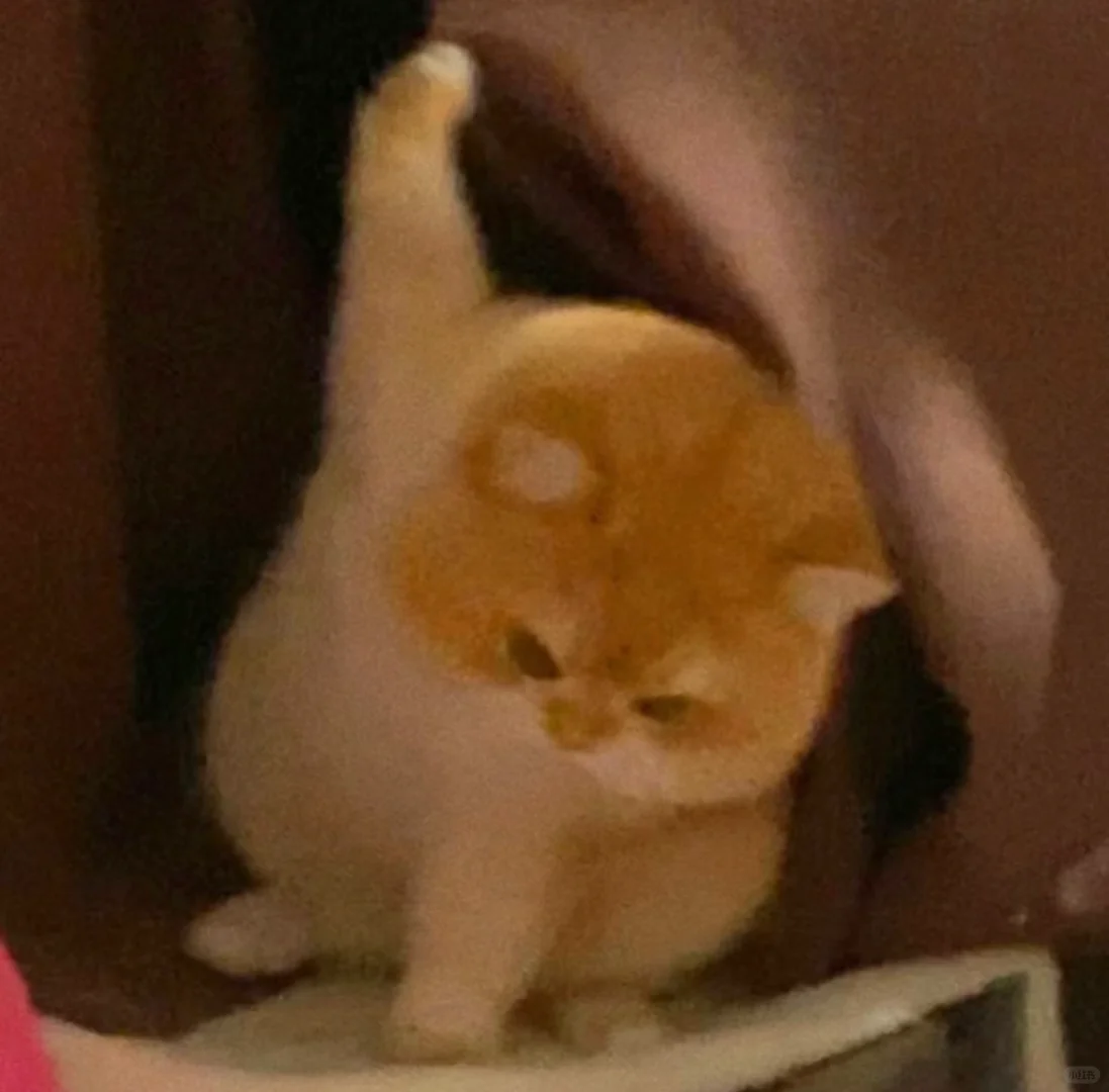 恭喜你挺进考研决赛圈