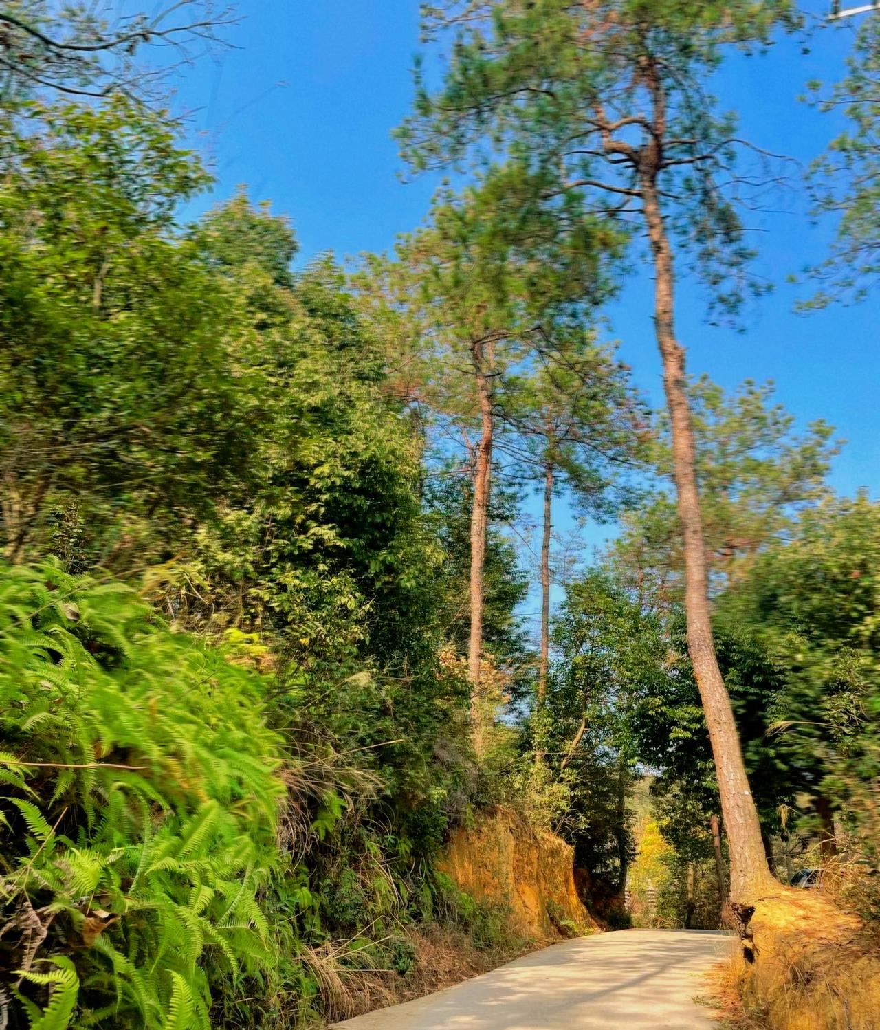 ：）
“夫妻能不离就不离。男人离婚你没钱，后面基本上是孤独终老。女人离婚，没钱的