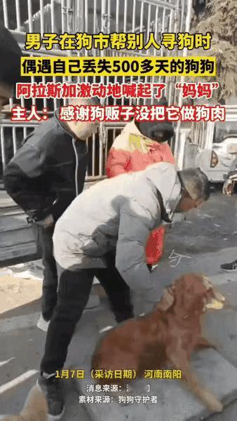 泪目了！

       500多天的双向奔赴，这才是人和狗最戳心的羁绊！
  