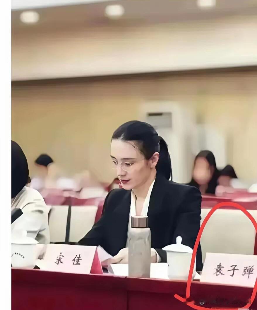 宋佳戴着一副眼镜，穿西装，打扮风格比较干练，她安安静静坐在那里记录东西，这在体制