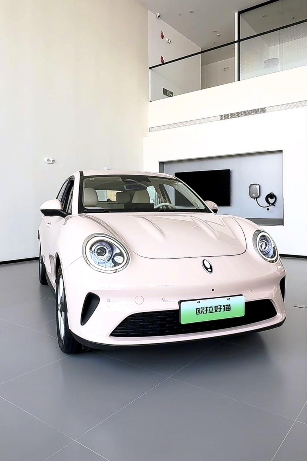 欧拉好猫这款车真是符合年轻人的审美，这个复古又精致的造型，看上去很有档次。它没啥