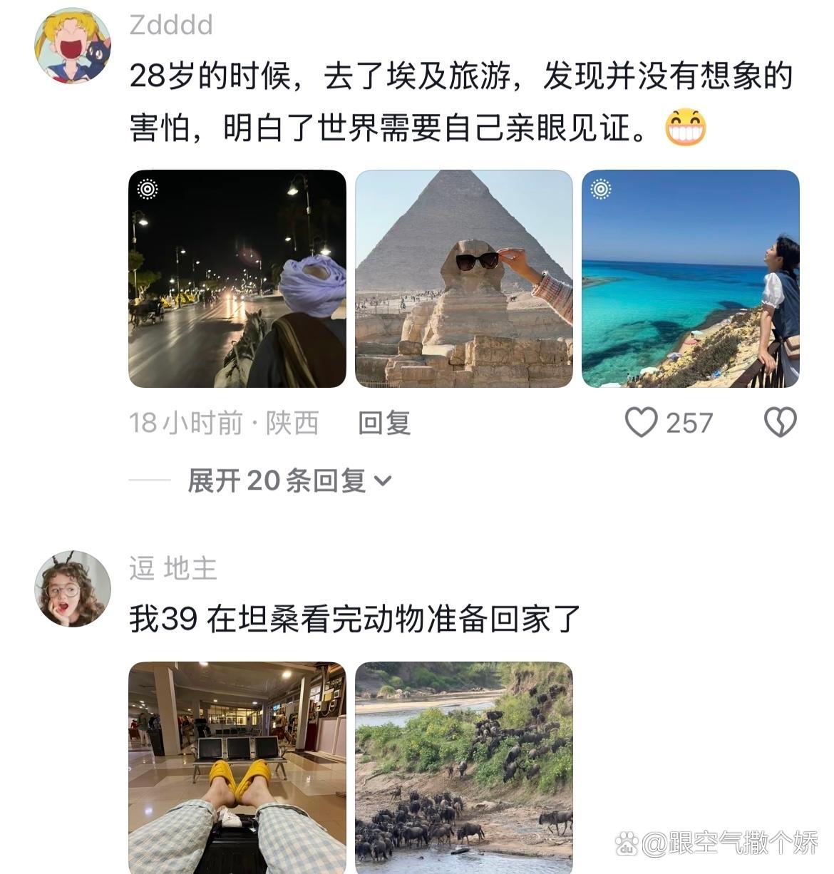你看人生根本不需要规划 