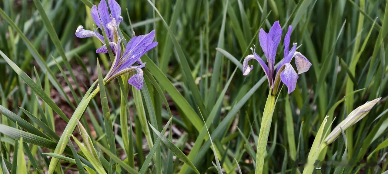 上班别入戏太深，你那点情绪老板按斤称都不值钱

昨天加班到十点，看见隔壁工位的小
