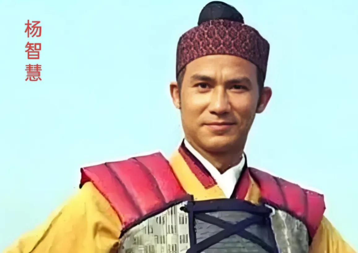 杨智慧，是南北朝时期的武兴国第五位国君，他是武兴国第四位国君杨绍先的儿子，属于略