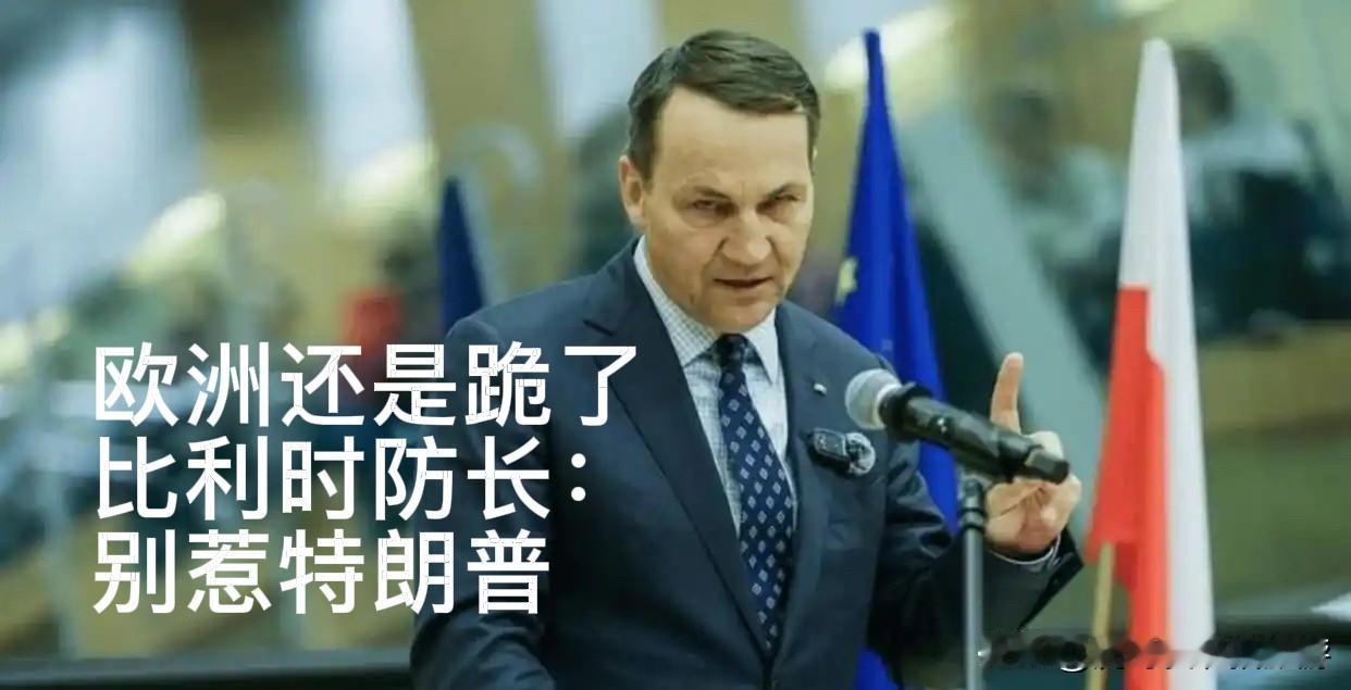 尽显窝囊！欧洲主动服软，甘愿被美国拿捏十年

7月7日，安卡拉北约峰会正式拉开帷