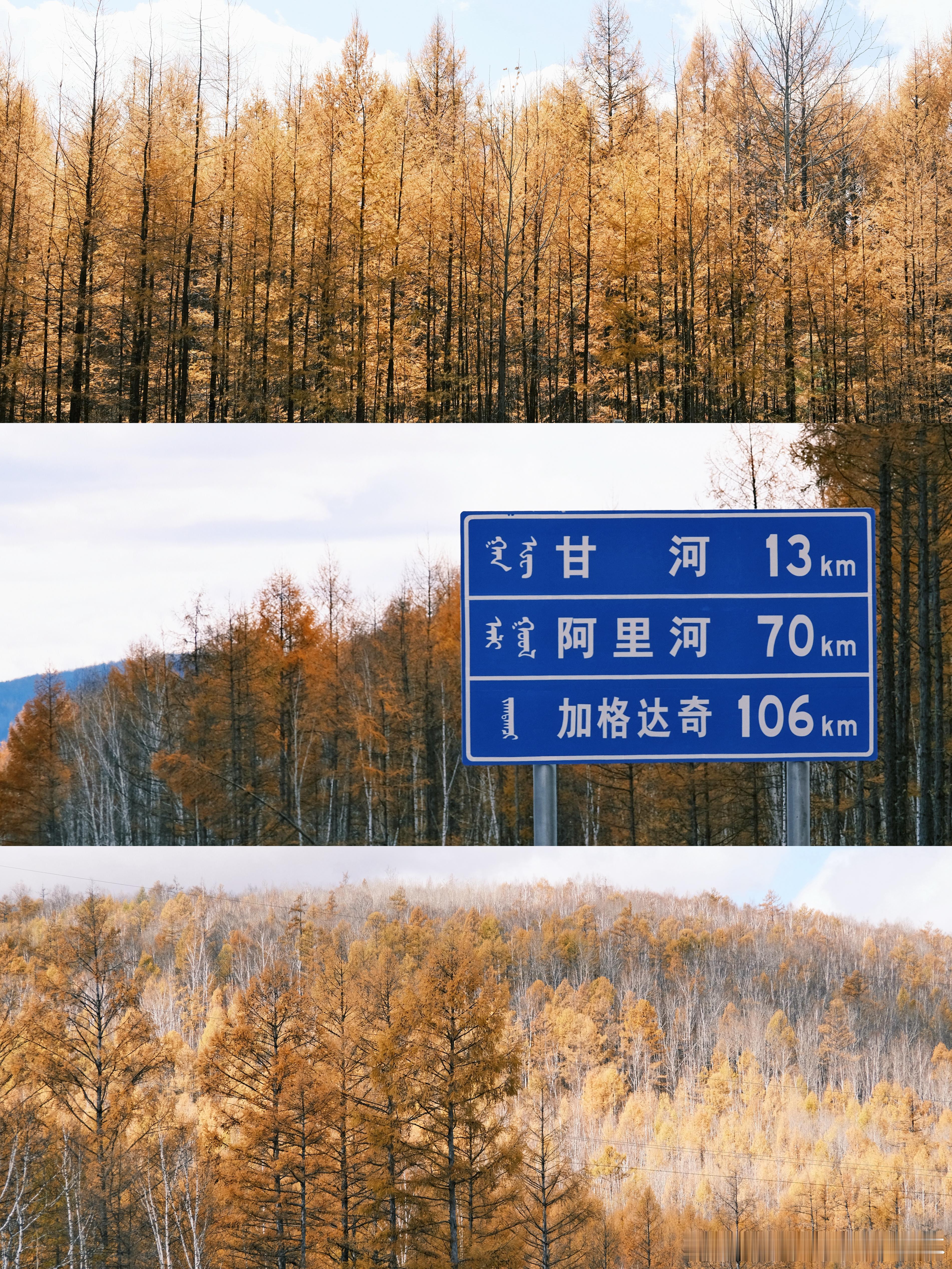 小韩的旅游日记 28岁的第一站🚗🍂在大兴安岭感受北国最早的秋天时隔多年 和爸
