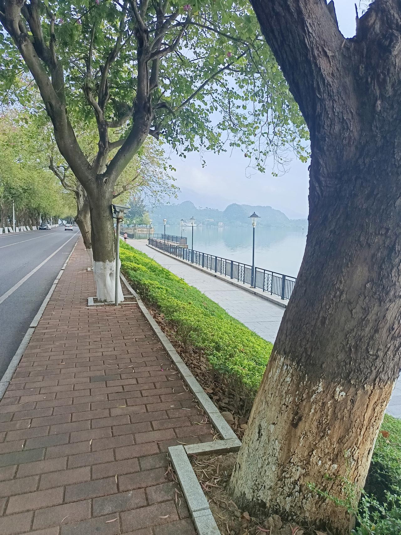 有一件事
我不知道怎么说才好
我在肇庆发现一个很严重的问题



你敢相信吗？这