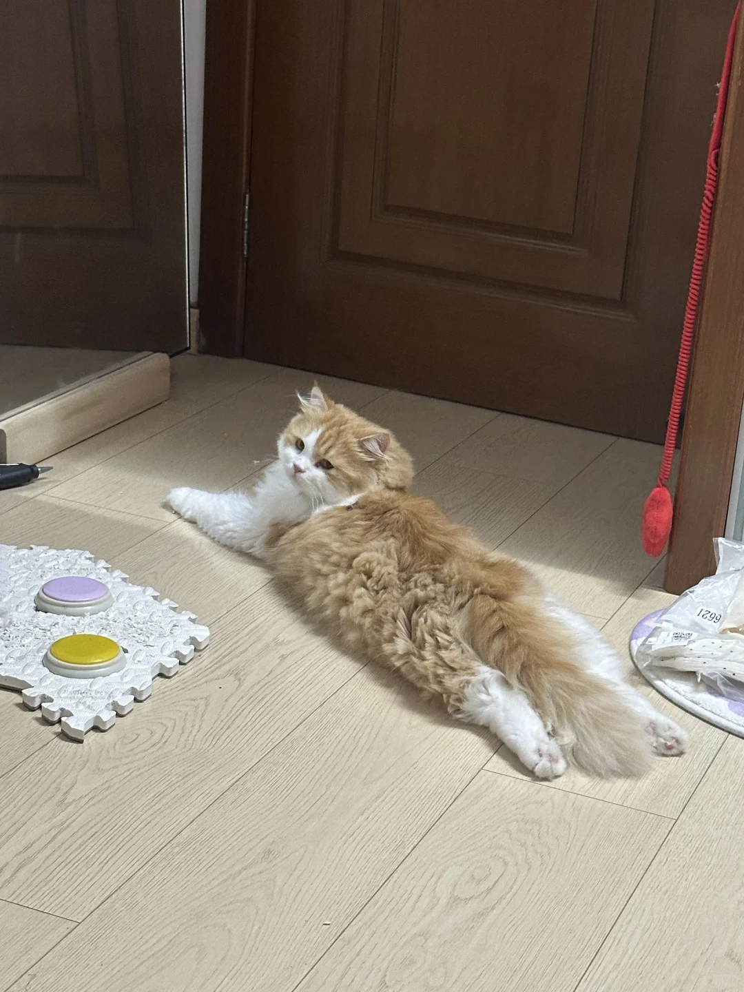 毛茸茸的 想踩一脚