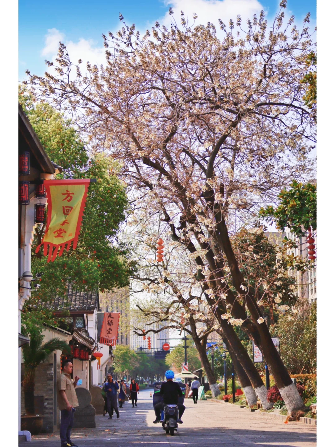 🍃我在杭州才花了3块钱就走进了真江南…