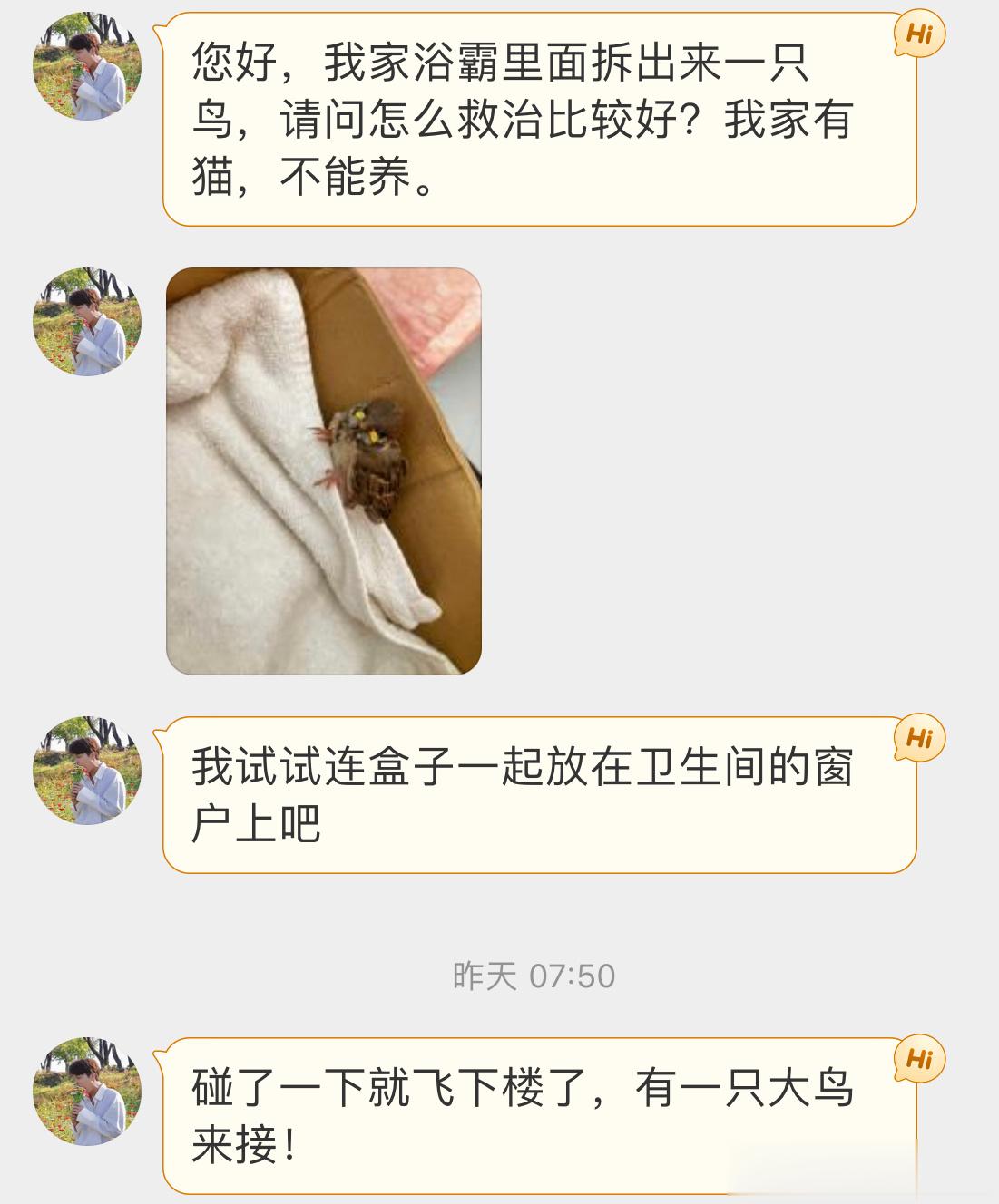 #鸟粉投稿# 浴霸里发现一只小麻雀应该是鸟妈妈在里面做窝了放窗台上宝宝飞走了，还