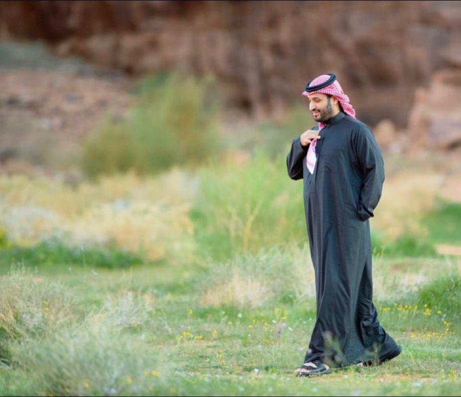 沙特 沙特阿拉伯 中东局势 国际局势 巴以冲突