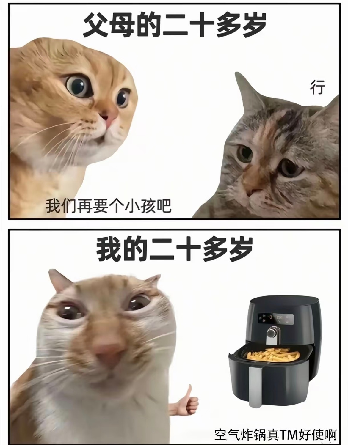 馒头从空气炸锅留学回来了空气炸锅简直就是世界上最伟大的发明