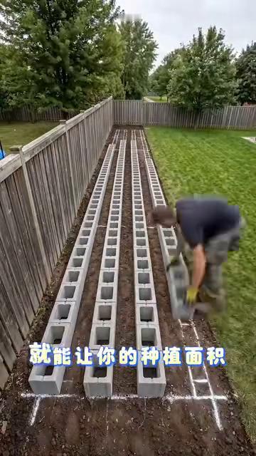 砖孔种菜。
你可能不相信，几块空心水泥砖就能让你的种植面积直接翻倍。大家都觉得水