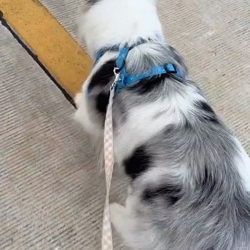 爱看 