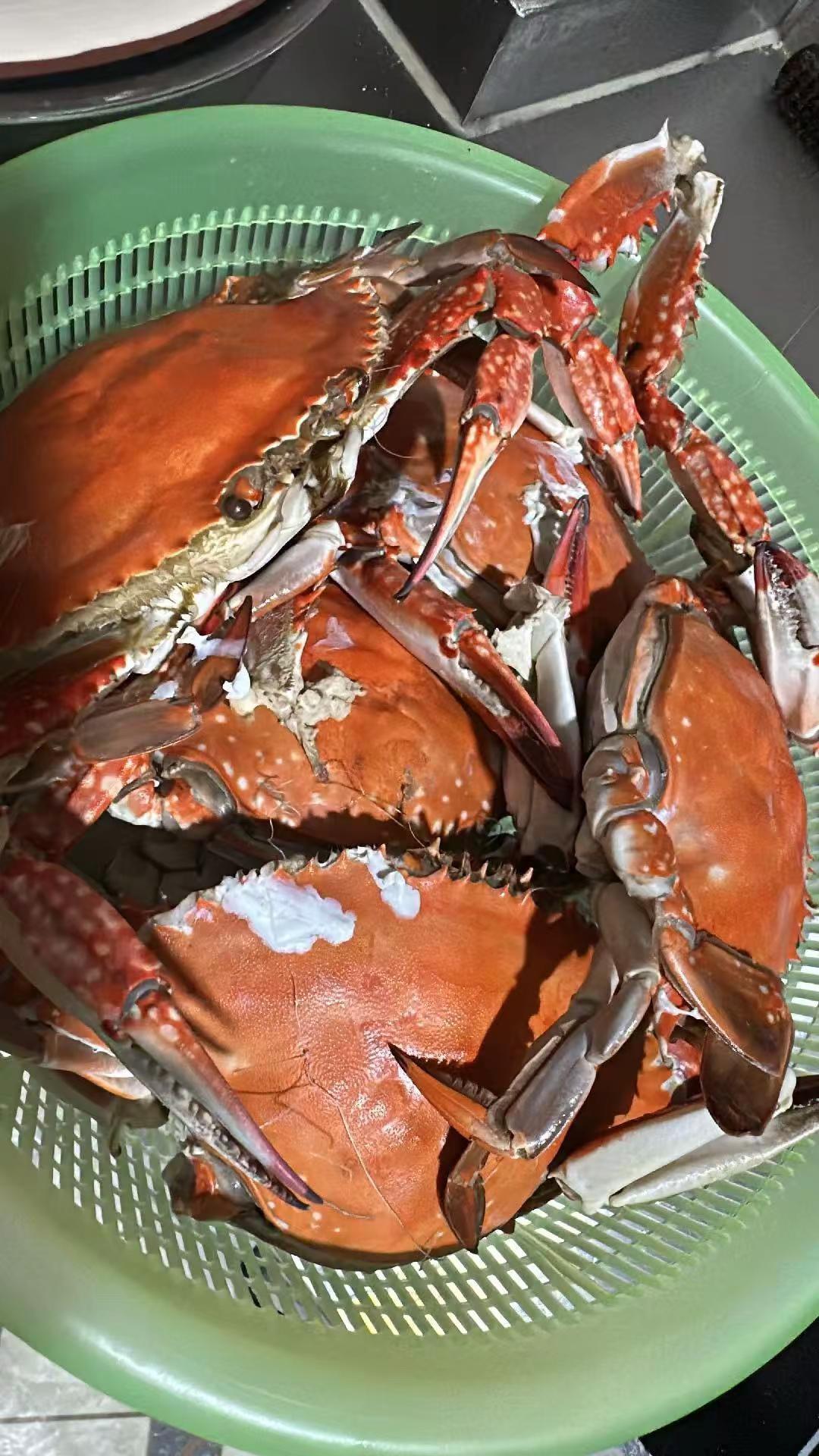 买了八只螃蟹🦀花了320块。人家嗑瓜子我一边刷视频一边磕螃蟹🦀已经连着磕了一