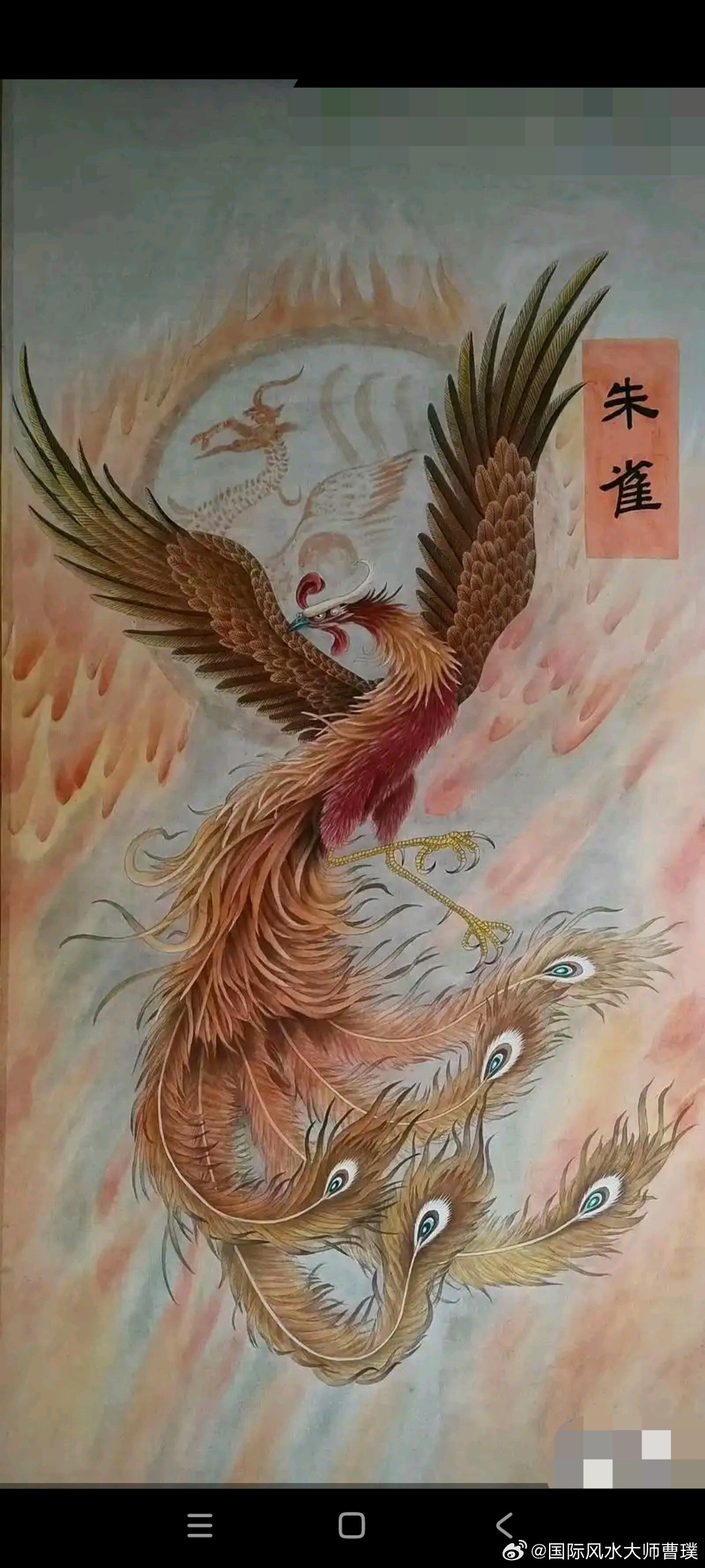 6步循序养生茶喝法｜别再乱泡茶白喝了跟风泡红枣枸杞、菊花玫瑰，喝了许久气色、疲惫