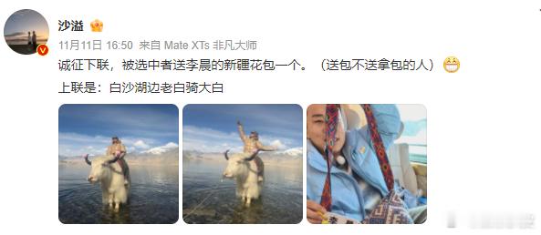 沙溢出了上联：白沙湖边老白骑大白，诚征下联。看了一下评论区，好几个网友都对得挺押