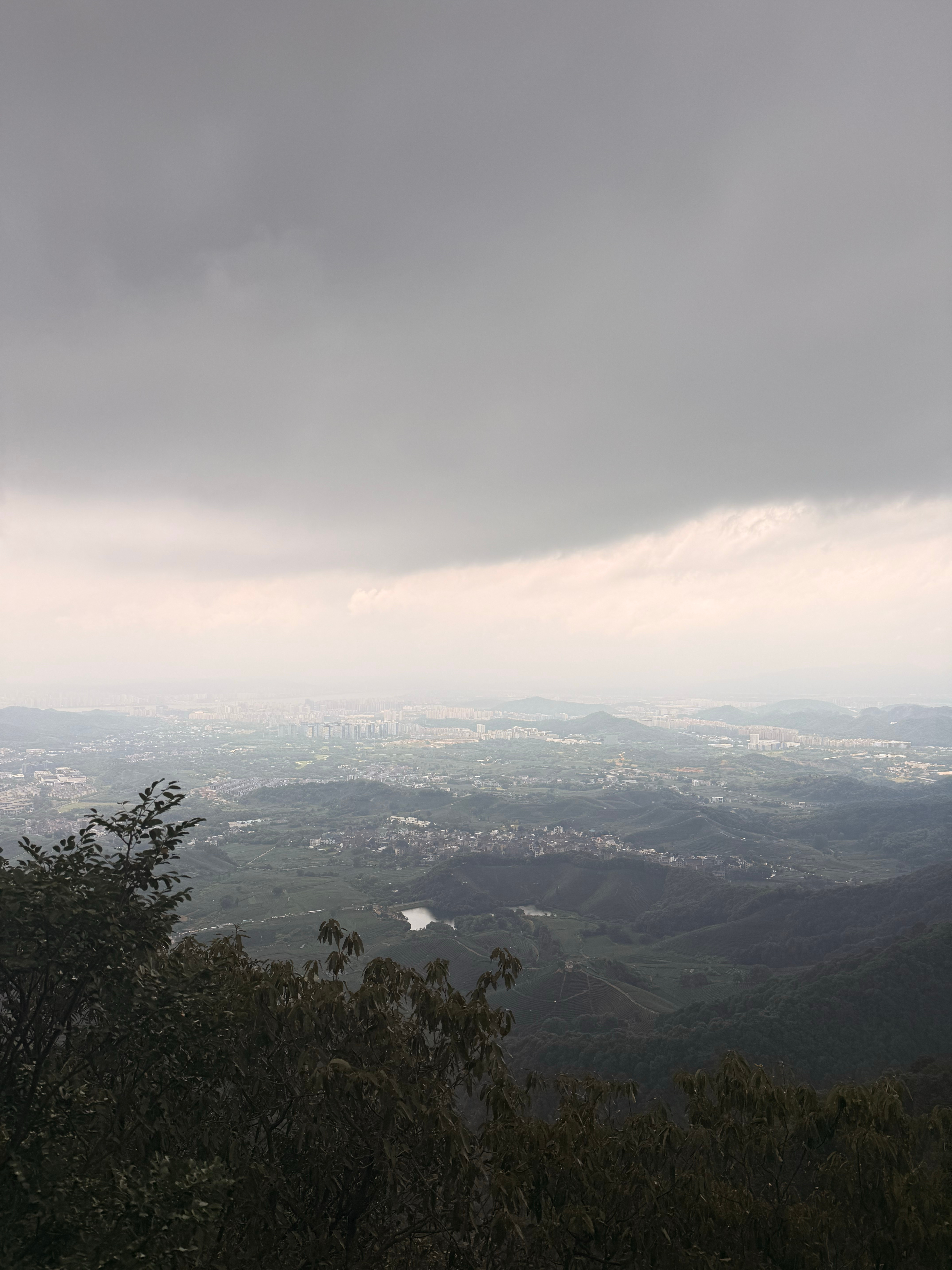 台风白海豚台风天毫无畏惧在跑山 杭州·午潮山国家森林公园