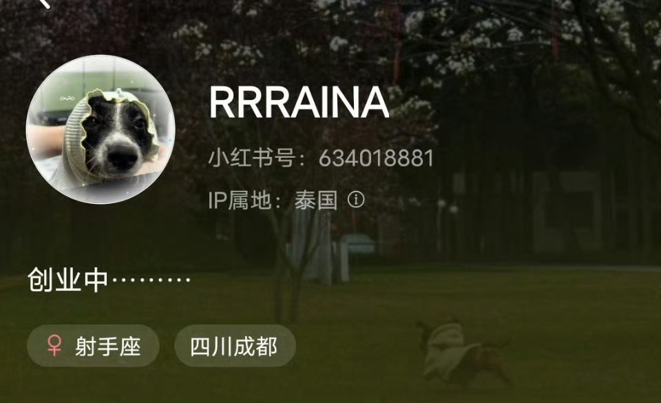 小希姐