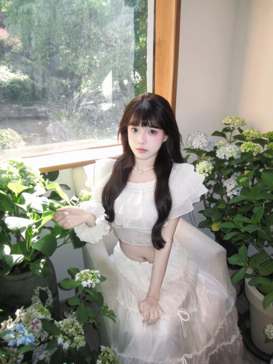🕊️ 春日夢境 𓂃˚‧ 𓆸　　֒