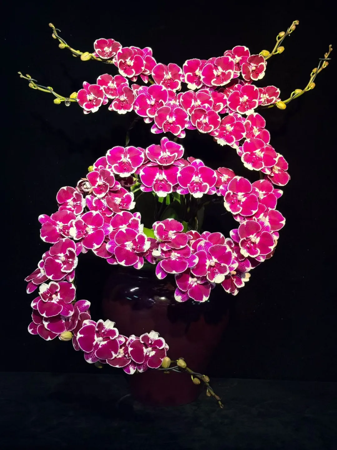 深圳香港全城送|top1