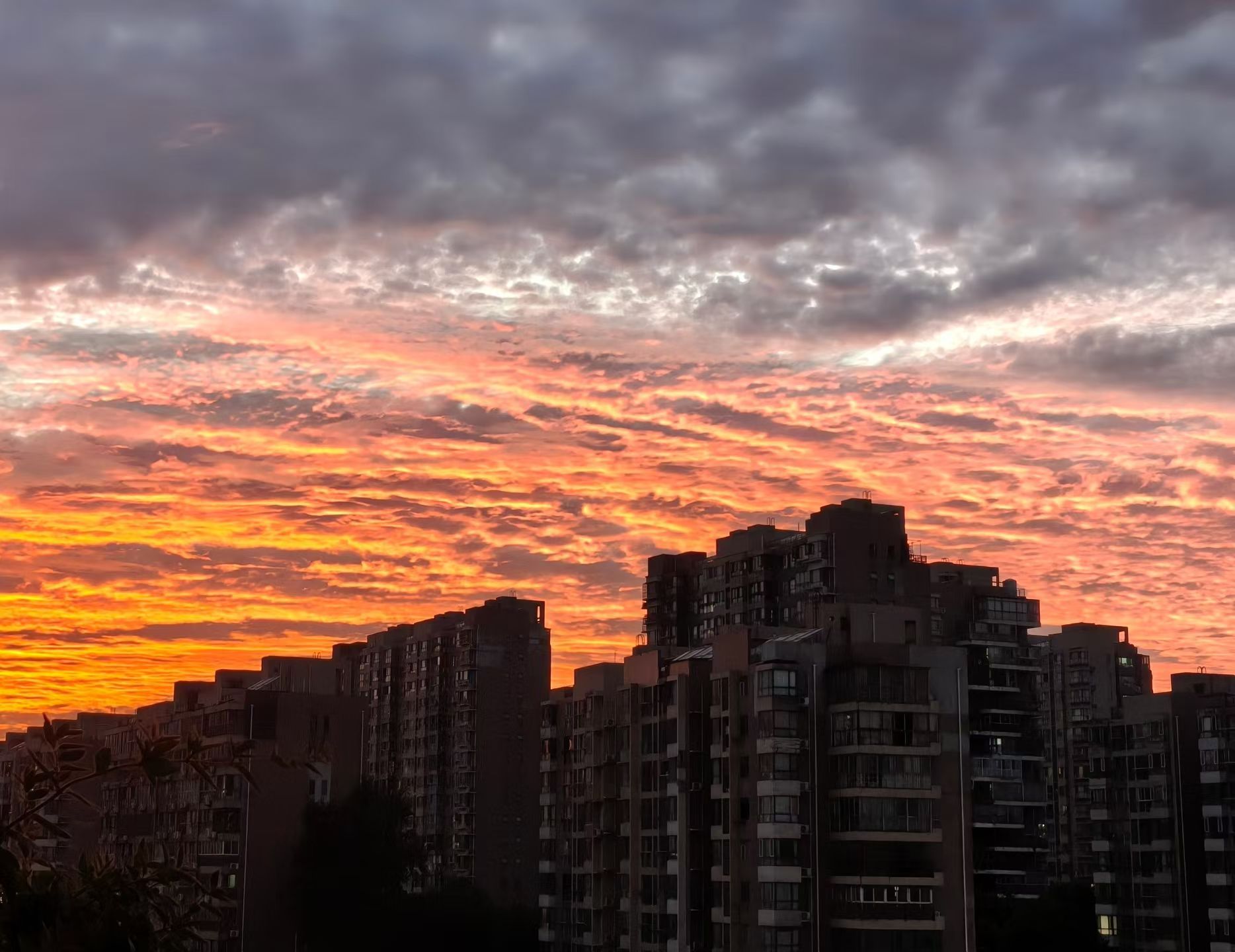 今天的晚霞有点好看唉 ​​​