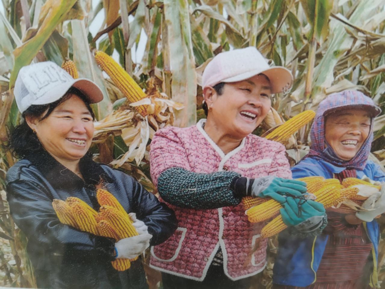 这样的组织机构有必要保留吗？我们这里在2000年就取消了。

中心学校属于‌事业