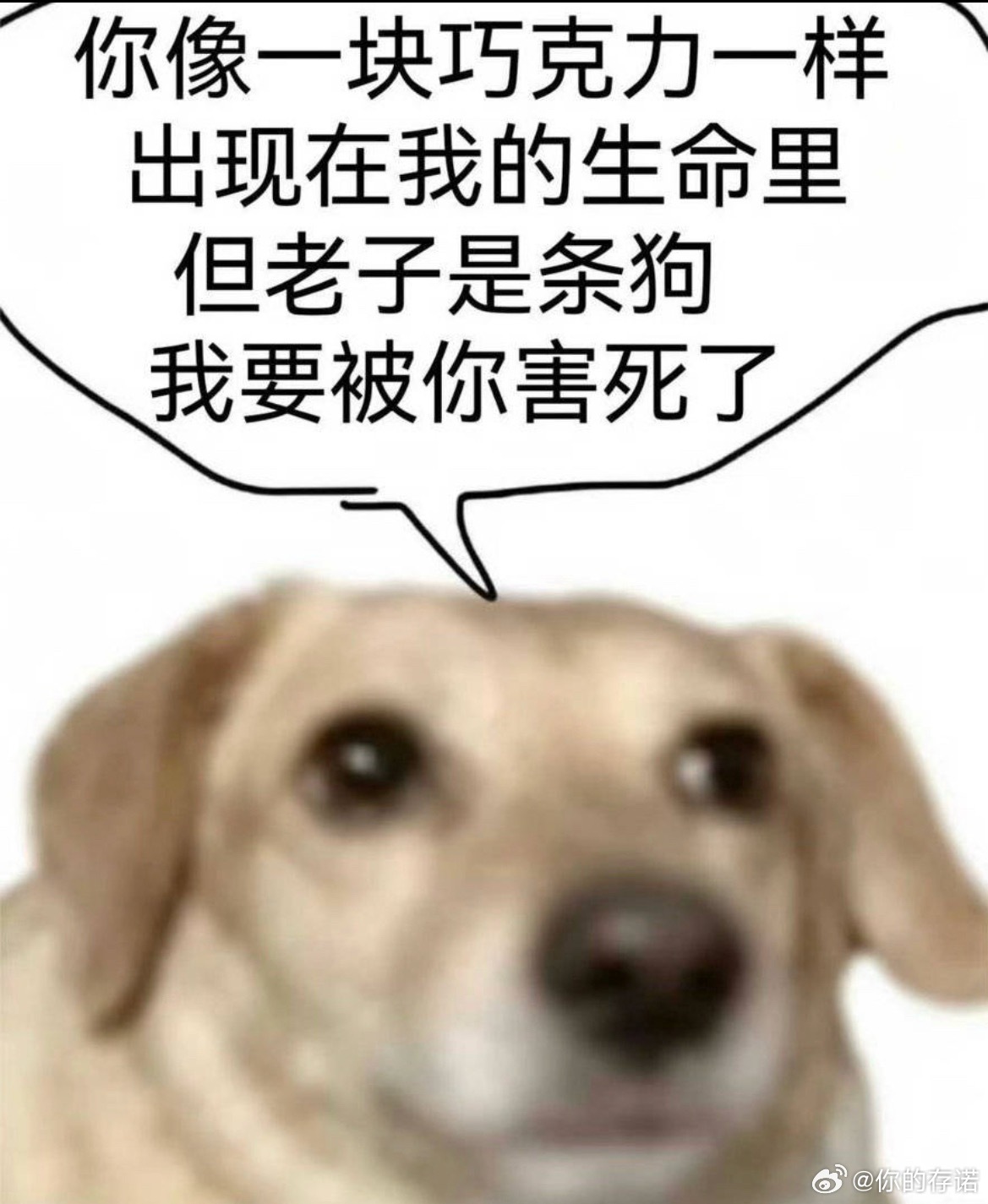 分享图片 
